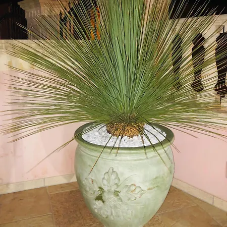 Suite Corsano * Corsano